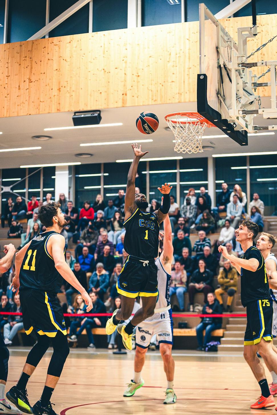 Our team at Celesthor Frontier